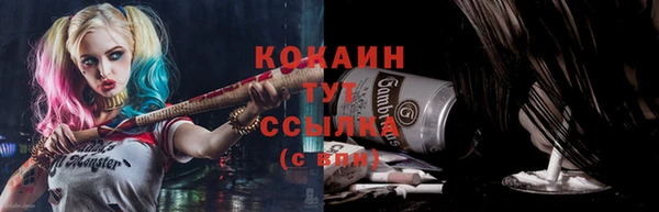 стаф Артём