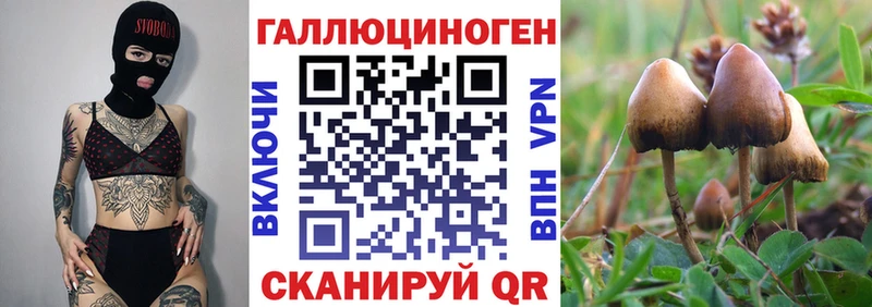 Галлюциногенные грибы Psilocybine cubensis  закладки  кракен как зайти  Тарко-Сале 